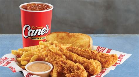 By accepting or using a FCFAY Reward Card, you agree to be bound by these. . Caniac club